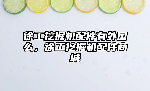 徐工挖掘機(jī)配件有外國么，徐工挖掘機(jī)配件商城