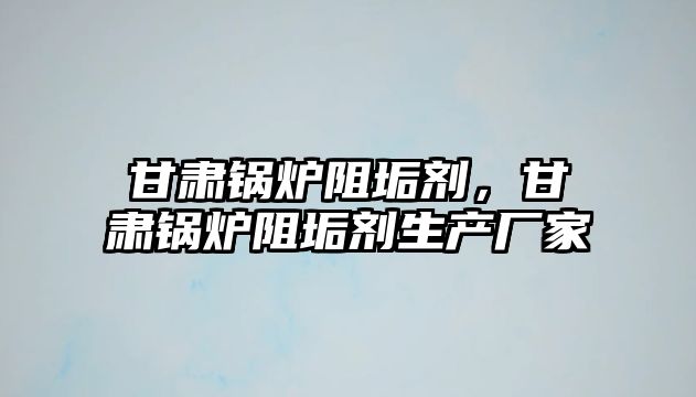 甘肅鍋爐阻垢劑，甘肅鍋爐阻垢劑生產(chǎn)廠家