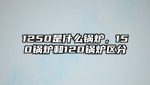 1250是什么鍋爐，150鍋爐和120鍋爐區(qū)分