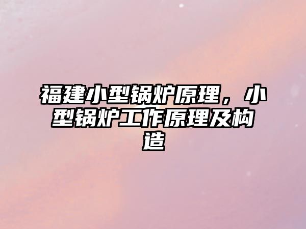 福建小型鍋爐原理，小型鍋爐工作原理及構(gòu)造