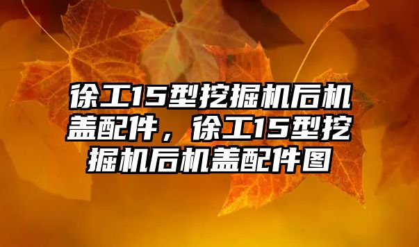 徐工15型挖掘機(jī)后機(jī)蓋配件，徐工15型挖掘機(jī)后機(jī)蓋配件圖