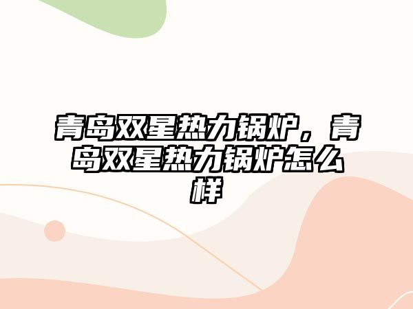 青島雙星熱力鍋爐，青島雙星熱力鍋爐怎么樣