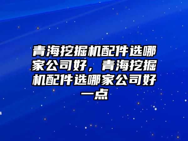 青海挖掘機配件選哪家公司好，青海挖掘機配件選哪家公司好一點