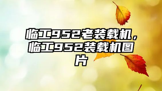臨工952老裝載機(jī)，臨工952裝載機(jī)圖片