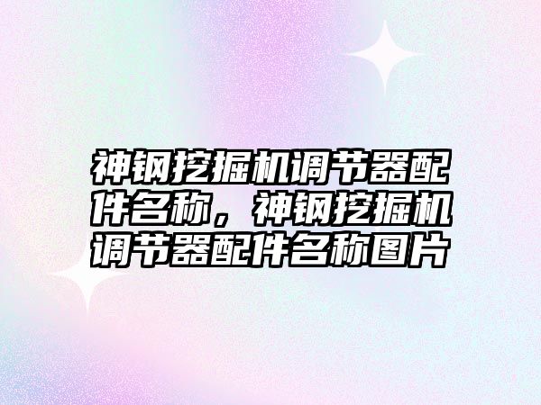 神鋼挖掘機調節(jié)器配件名稱，神鋼挖掘機調節(jié)器配件名稱圖片