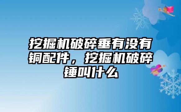 挖掘機(jī)破碎垂有沒(méi)有銅配件，挖掘機(jī)破碎錘叫什么
