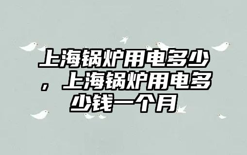 上海鍋爐用電多少，上海鍋爐用電多少錢(qián)一個(gè)月