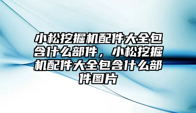 小松挖掘機(jī)配件大全包含什么部件，小松挖掘機(jī)配件大全包含什么部件圖片