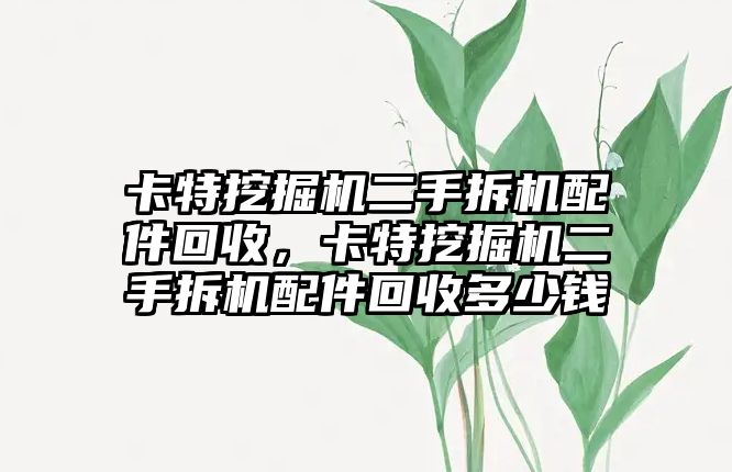卡特挖掘機二手拆機配件回收，卡特挖掘機二手拆機配件回收多少錢