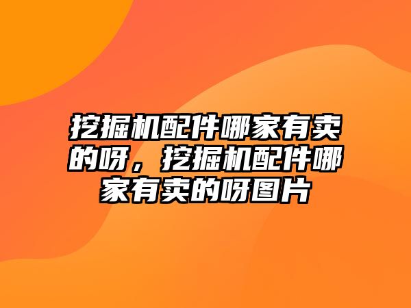 挖掘機(jī)配件哪家有賣的呀，挖掘機(jī)配件哪家有賣的呀圖片