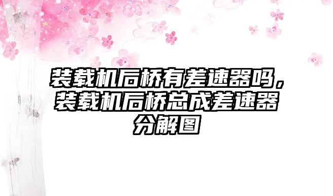 裝載機(jī)后橋有差速器嗎，裝載機(jī)后橋總成差速器分解圖