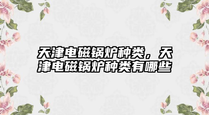 天津電磁鍋爐種類，天津電磁鍋爐種類有哪些