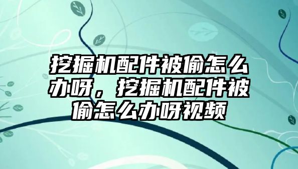 挖掘機(jī)配件被偷怎么辦呀，挖掘機(jī)配件被偷怎么辦呀視頻