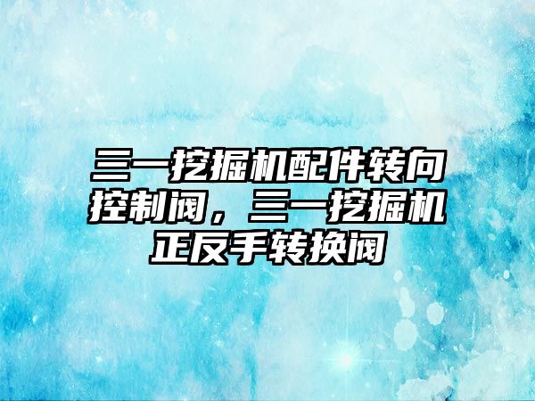 三一挖掘機(jī)配件轉(zhuǎn)向控制閥，三一挖掘機(jī)正反手轉(zhuǎn)換閥