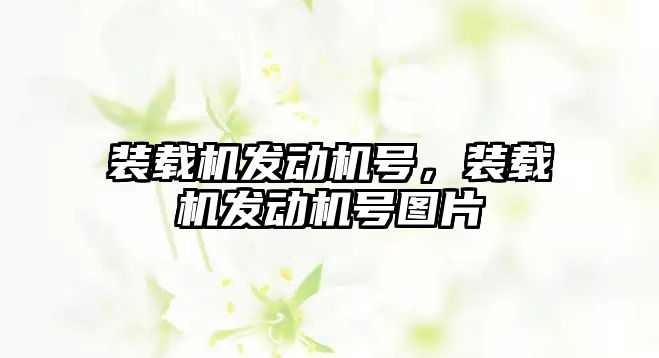 裝載機(jī)發(fā)動(dòng)機(jī)號(hào)，裝載機(jī)發(fā)動(dòng)機(jī)號(hào)圖片