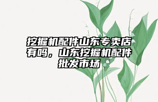 挖掘機配件山東專賣店有嗎，山東挖掘機配件批發(fā)市場