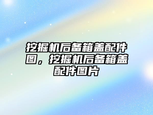 挖掘機(jī)后備箱蓋配件圖，挖掘機(jī)后備箱蓋配件圖片