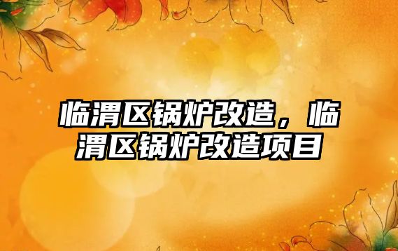 臨渭區(qū)鍋爐改造，臨渭區(qū)鍋爐改造項(xiàng)目