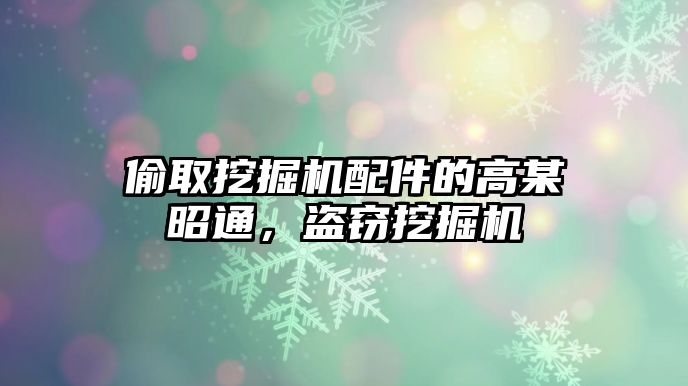 偷取挖掘機(jī)配件的高某昭通，盜竊挖掘機(jī)