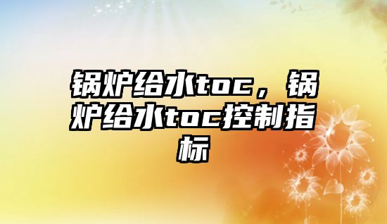 鍋爐給水toc，鍋爐給水toc控制指標