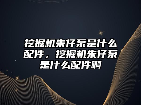 挖掘機(jī)朱仔泵是什么配件，挖掘機(jī)朱仔泵是什么配件啊