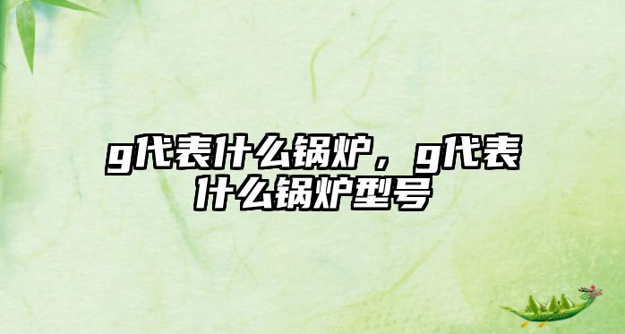 g代表什么鍋爐，g代表什么鍋爐型號