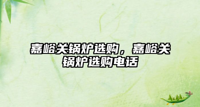 嘉峪關(guān)鍋爐選購，嘉峪關(guān)鍋爐選購電話