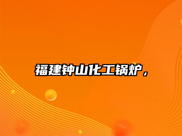 福建鐘山化工鍋爐，