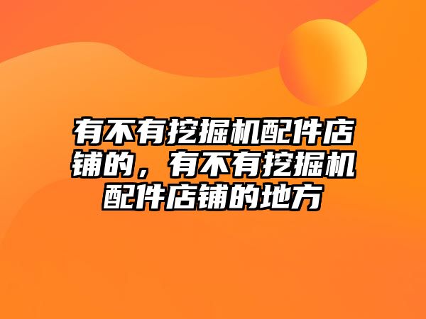 有不有挖掘機(jī)配件店鋪的，有不有挖掘機(jī)配件店鋪的地方