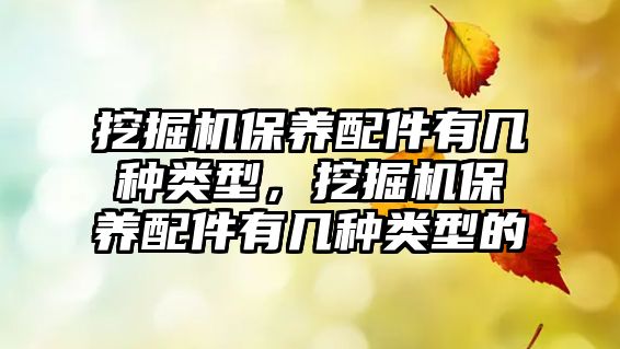 挖掘機保養(yǎng)配件有幾種類型，挖掘機保養(yǎng)配件有幾種類型的
