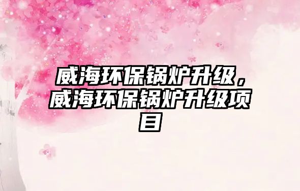 威海環(huán)保鍋爐升級，威海環(huán)保鍋爐升級項目