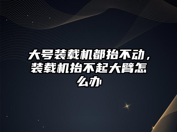 大號裝載機都抬不動，裝載機抬不起大臂怎么辦