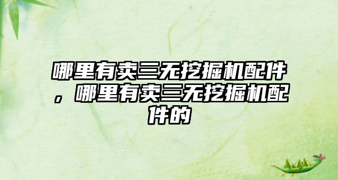哪里有賣(mài)三無(wú)挖掘機(jī)配件，哪里有賣(mài)三無(wú)挖掘機(jī)配件的