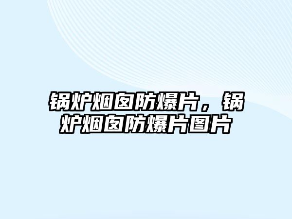鍋爐煙囪防爆片，鍋爐煙囪防爆片圖片