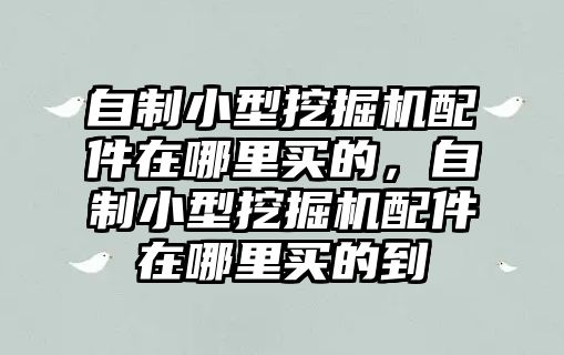 自制小型挖掘機(jī)配件在哪里買的，自制小型挖掘機(jī)配件在哪里買的到