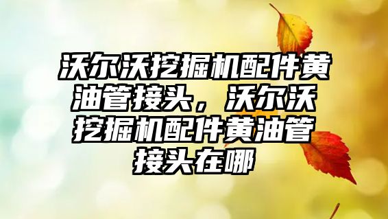 沃爾沃挖掘機配件黃油管接頭，沃爾沃挖掘機配件黃油管接頭在哪