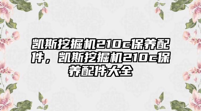 凱斯挖掘機210c保養(yǎng)配件，凱斯挖掘機210c保養(yǎng)配件大全
