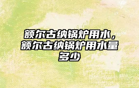 額爾古納鍋爐用水，額爾古納鍋爐用水量多少