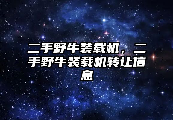 二手野牛裝載機，二手野牛裝載機轉讓信息