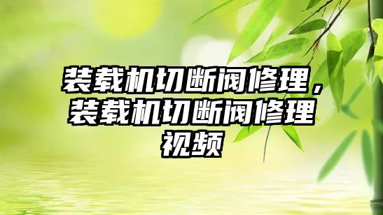 裝載機切斷閥修理，裝載機切斷閥修理視頻