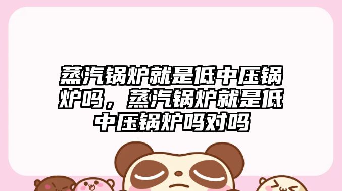 蒸汽鍋爐就是低中壓鍋爐嗎，蒸汽鍋爐就是低中壓鍋爐嗎對嗎