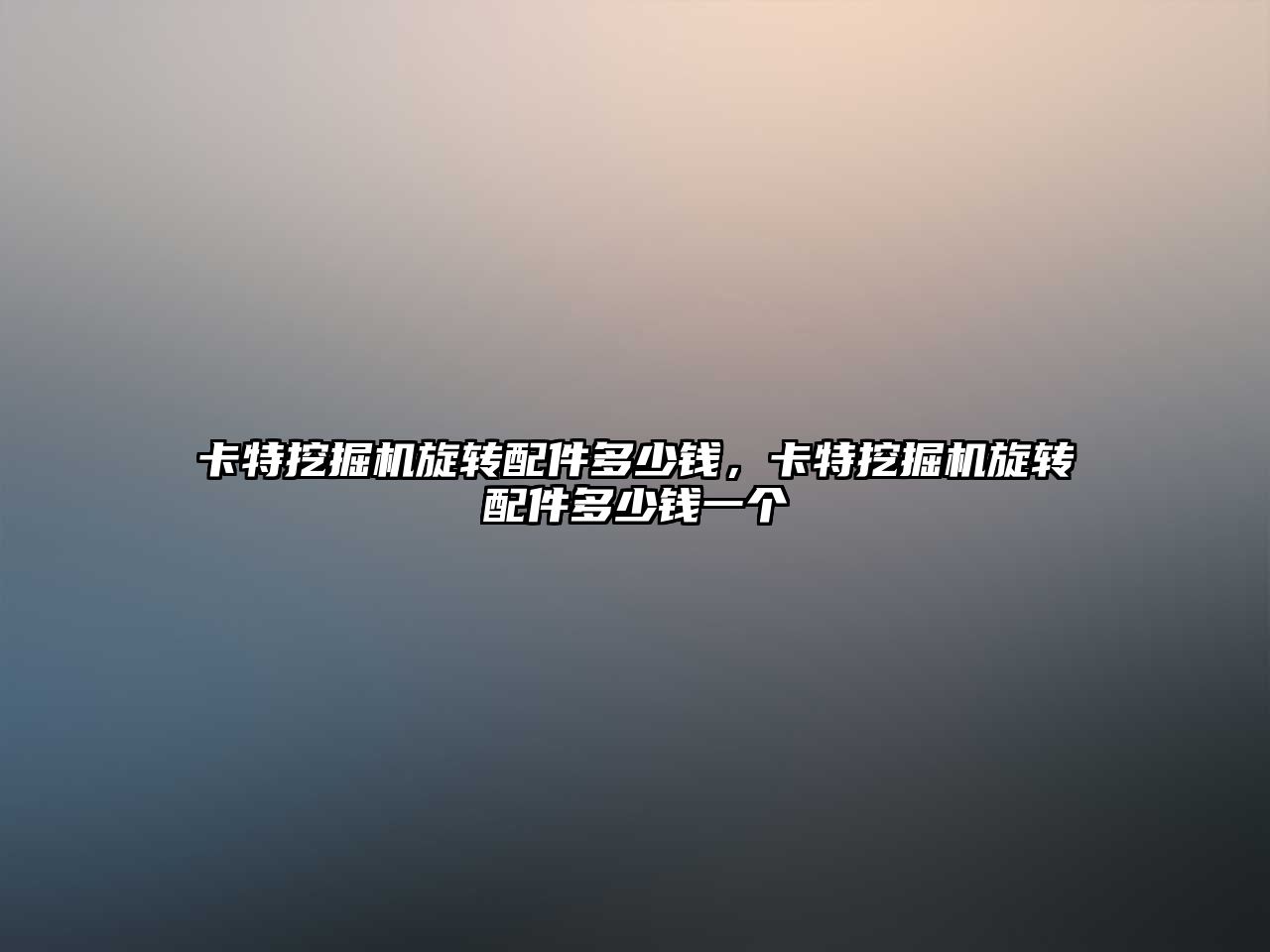 卡特挖掘機(jī)旋轉(zhuǎn)配件多少錢，卡特挖掘機(jī)旋轉(zhuǎn)配件多少錢一個(gè)