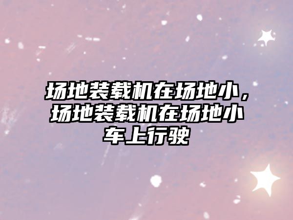 場地裝載機在場地小，場地裝載機在場地小車上行駛