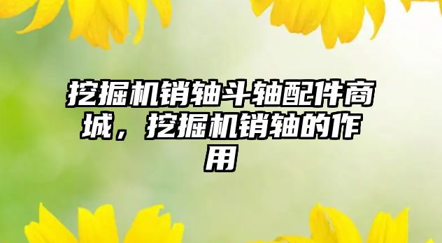 挖掘機(jī)銷(xiāo)軸斗軸配件商城，挖掘機(jī)銷(xiāo)軸的作用
