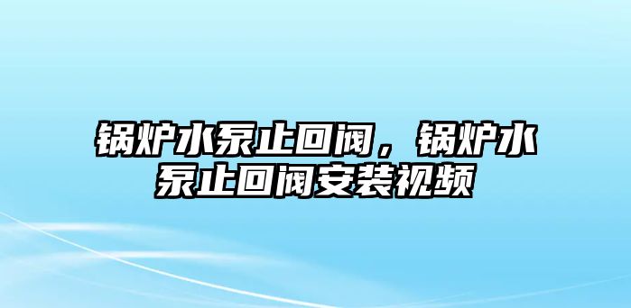 鍋爐水泵止回閥，鍋爐水泵止回閥安裝視頻