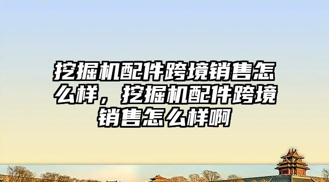 挖掘機配件跨境銷售怎么樣，挖掘機配件跨境銷售怎么樣啊