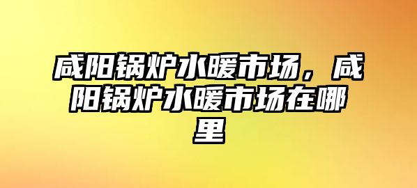 咸陽(yáng)鍋爐水暖市場(chǎng)，咸陽(yáng)鍋爐水暖市場(chǎng)在哪里