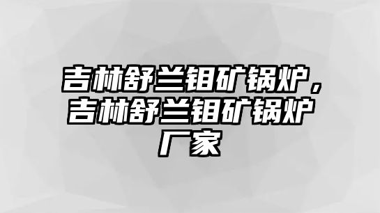 吉林舒蘭鉬礦鍋爐，吉林舒蘭鉬礦鍋爐廠家