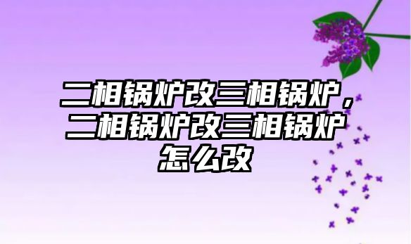二相鍋爐改三相鍋爐，二相鍋爐改三相鍋爐怎么改