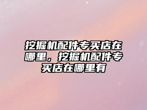挖掘機配件專買店在哪里，挖掘機配件專買店在哪里有